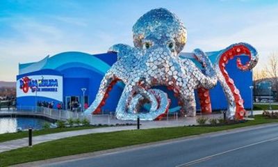 Aquarium at the Boardwalk Admission