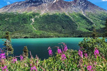 Private Skagway Tour Custom Full Day Charter