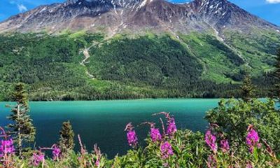 Private Skagway Tour Custom Full Day Charter For Up To 20 People