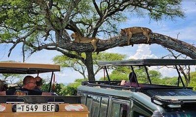 3 Day Safari Adventure Tarangire Ngorongoro and Manyara