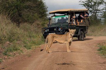 4-Hour Half Day Nairobi National Park Guided Game Drive with 4x4