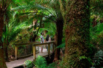Great Ocean Road Reverse Tour with Audio Guide