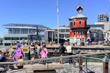 Robben Island and Table Mountain Tour with Transfers and Tickets