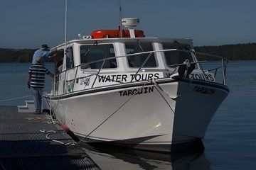 Old Sow Whirlpool and Whale Tours