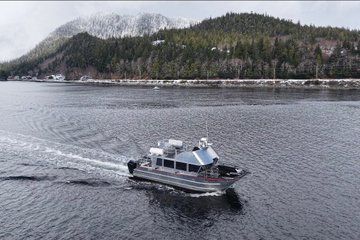 Ketchikans Whale and Marine Mammal Viewing Tour