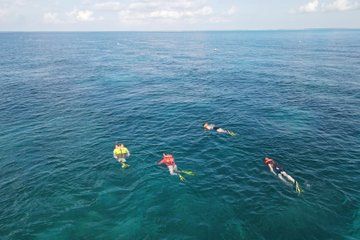 Key Largo Coral Reef Snorkeling Boat Trip