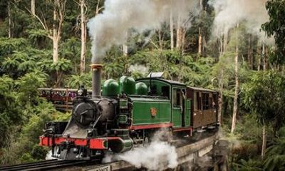 Puffing BillySteam Train & Phillip Island Penguin Parade Day Tour