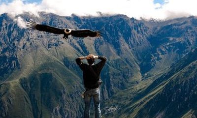 2D1N Colca Canyon Tour from Arequipa
