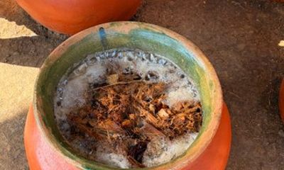 Tradition and Unlimited Tasting of Agave in Oaxaca with food