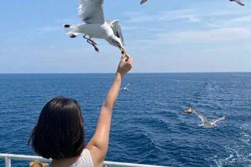 Seoul Day Trip with Seagull Feeding Railbike and Mega Luge