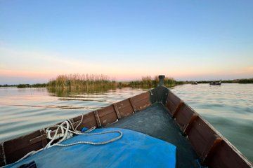 Private Tour of the Albufera Natural Park with Boat Tour