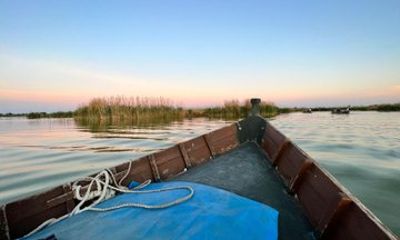 Private Tour of the Albufera Natural Park with Boat Tour