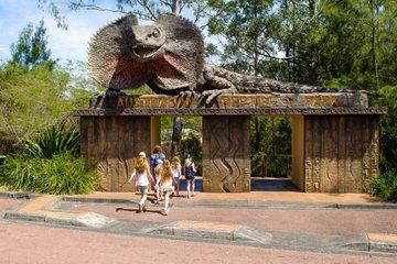 Private Australian Reptile Park Wildlife Experience from Sydney