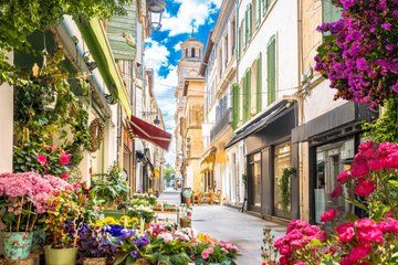 Private Shore Tour: Provence & Camargue Highlights