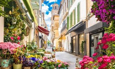 Private Tour: Provence & Camargue Highlights