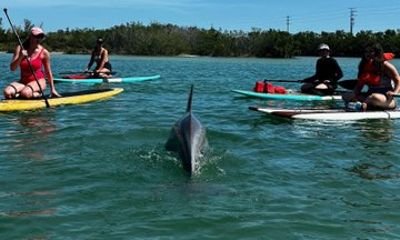 Port Canaveral Kayak Tour Dolphins and Manatees Near Cruise Port