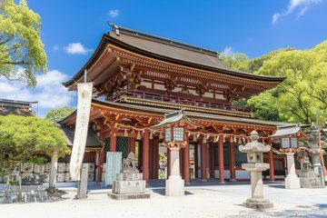 Fukuoka Private Custom Tour with Local Guide