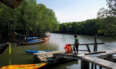 Mangrove Kayaking from Sunset to Bioluminescent Plankton