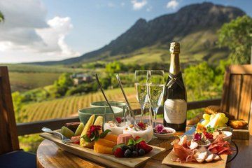Cape Winelands Wine Tasting Tour from Cape Town