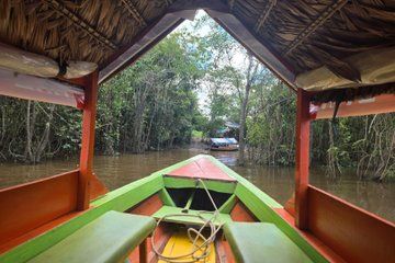 Full Day Amazon and Iquitos Cultural Tour English Speaking Guide