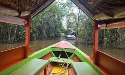 Cultural Excursion through the Amazon with a Local Guide