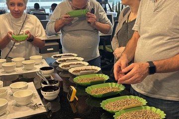 Ethiopia Coffee Tour Experience