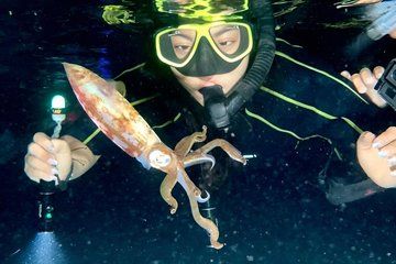 Saint Lucia Night Snorkeling at Anse Cochon