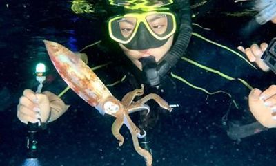 Saint Lucia Night Snorkeling at Anse Cochon