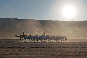 Private Horse Riding at Wahiba Sand Desert with Sunset Watch
