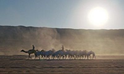 Private Horse Riding at Wahiba Sand Desert with Sunset Watch