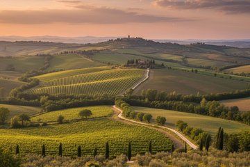 Private Transfer from Rome FCO to Florence with Orvieto Stop