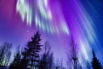 Levi Arctic Evening Experience Kota Dinner and Northern Lights