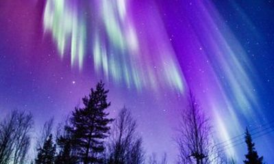 Levi Arctic Evening Experience Kota Dinner and Northern Lights