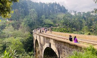 Scenic Train Journey from Ambewela to Ella