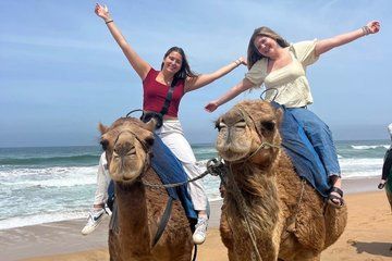 Private Tangier Tour for Cruise Ship Guests All Inclusive