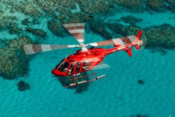 Private Luxury half Day scenic GBR Flight and Mossman Gorge Tour