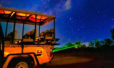 Unique Night Safari Game Drive in Zambezi or Chamabondo