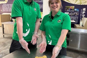 Private Half Day Dujiangyan Panda Base Tour