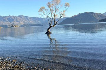 Wanaka and Cromwell Private Tour, Scenic Day Trip from Queenstown