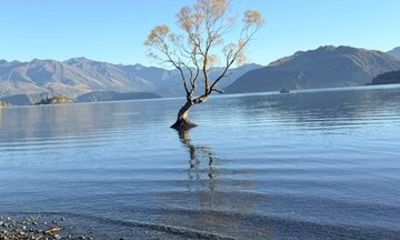Wanaka and Cromwell Private Tour, Scenic Day Trip from Queenstown