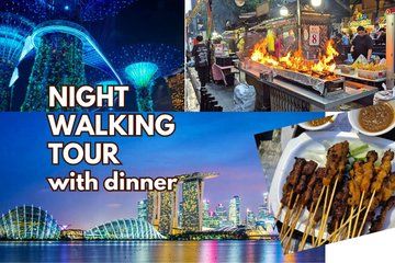 Singapore Street Food Dinner Marina Bay and Gardens Light Show