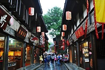 Chengdu Panda Base and City Private Tour