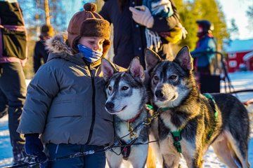 Rovaniemi: Arctic Husky Safari Tour