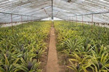 West Side (Full Day) | San Miguel Island