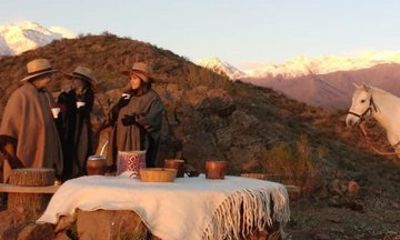 Winery and horseback riding at the foot of the Andes in Valle de uco, Mendoza