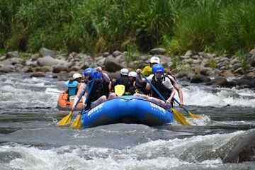Rainforest Falls & Rafting Class II & III