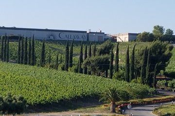 Monday to Friday Temecula Wine Tasting Experience With Lunch