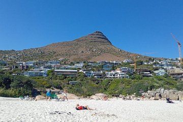 Cape Peninsula Coastal and Wildlife Day Tour