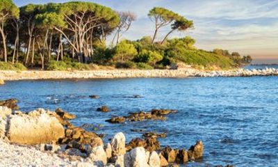 Cannes Islands Escape – Private Shore Tour by Boat