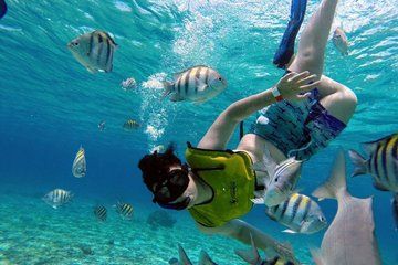 Snorkeling by the Arch with Personalized Guide